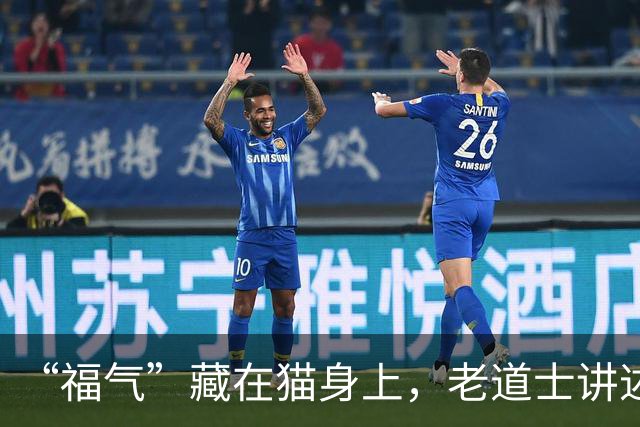 “福气”藏在猫身上，老道士讲述：它爱呆的地方，是守护你家财路