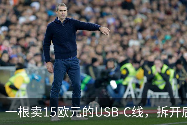 一根卖15欧元的USB-C线，拆开后里面藏了块能跑视频的屏幕