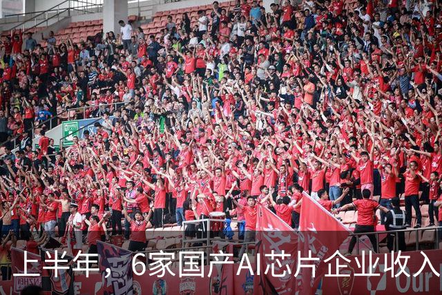 上半年，6家国产AI芯片企业收入124亿，有5家在亏钱
