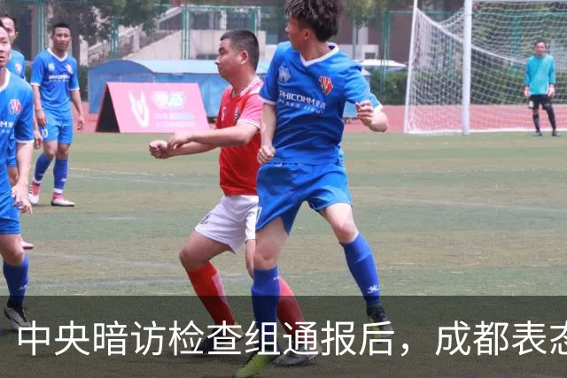 中央暗访检查组通报后，成都表态：已立案调查，拟顶格处罚
