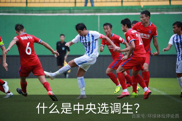 什么是中央选调生？