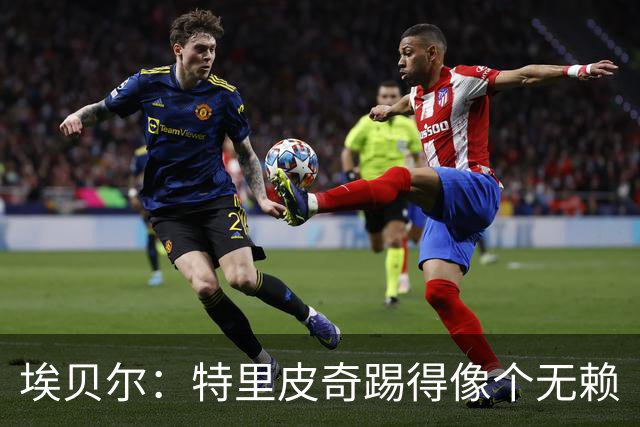 埃贝尔：特里皮奇踢得像个无赖