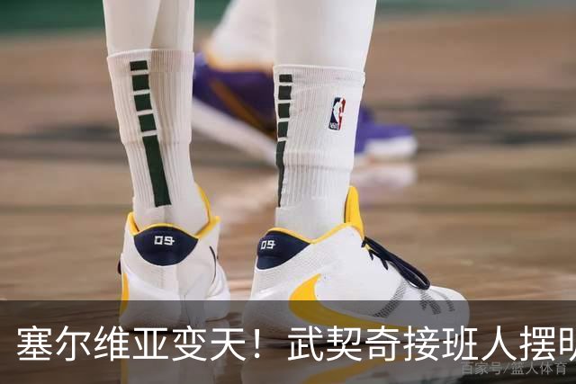 塞尔维亚变天！武契奇接班人摆明对华立场，欧盟被打了个措手不及
