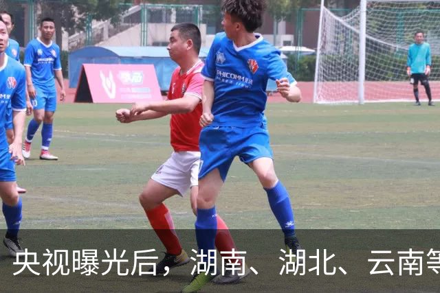 央视曝光后，湖南、湖北、云南等地开展核查处置