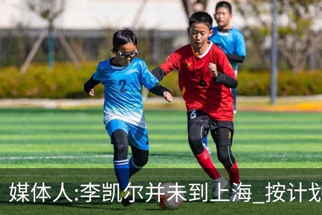 媒体人:李凯尔并未到上海 按计划能赶上世界杯