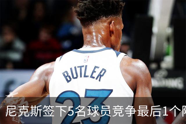 尼克斯签下5名球员竞争最后1个阵容名额