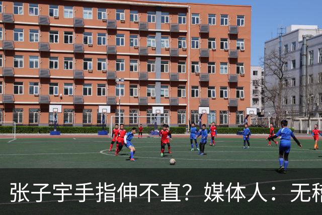 张子宇手指伸不直？媒体人：无稽之谈 她织毛衣做甜品 都是精细活