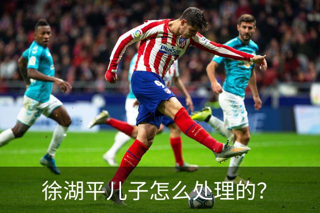 徐湖平儿子怎么处理的？