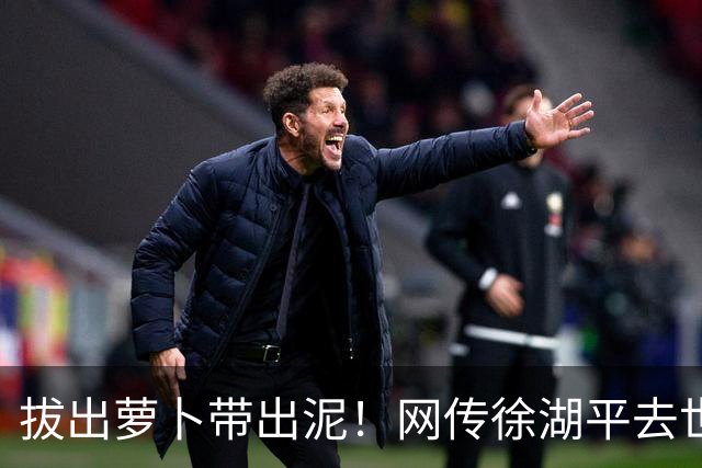 拔出萝卜带出泥！网传徐湖平去世，竟再次将南京博物院给拉下水