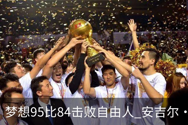 梦想95比84击败自由人 安吉尔·里斯14投7中得到18分10板2助1帽