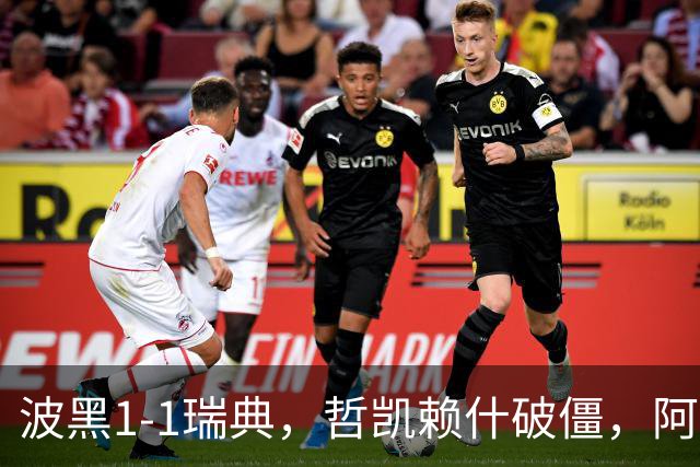 波黑1-1瑞典，哲凯赖什破僵，阿拉伊贝戈维奇救主