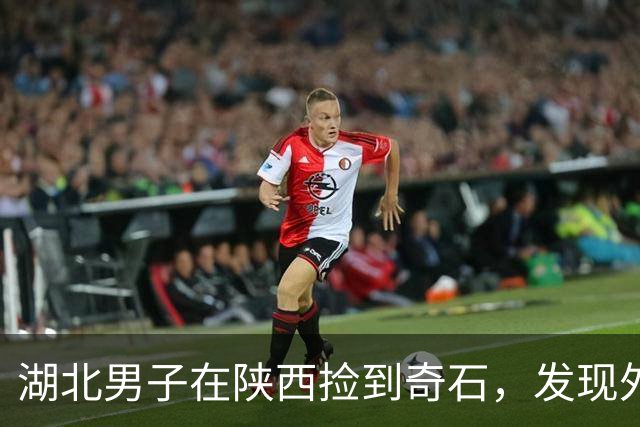 湖北男子在陕西捡到奇石，发现外形酷似朱元璋“鞋拔子脸”，得知朱元璋其实不长这样后，仍决定定制配套底座珍藏