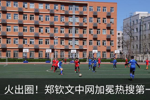 火出圈！郑钦文中网加冕热搜第一前十占六 新华社等官媒集体称赞