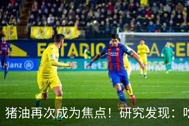猪油再次成为焦点！研究发现：吃得越油，寿命或越长？告诉你真相