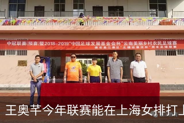王奥芊今年联赛能在上海女排打上主力吗？