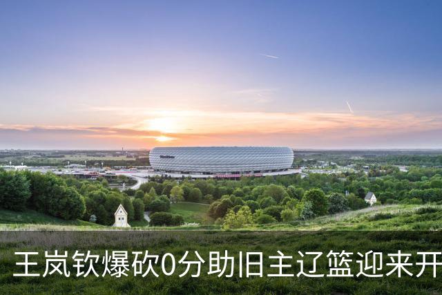 王岚钦爆砍0分助旧主辽篮迎来开门红，山东男篮这三千万花得值吗