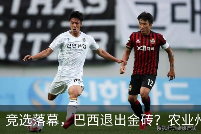 竞选落幕，巴西退出金砖？农业州率先翻脸，对华出口770亿岂能丢