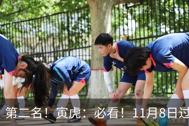 第二名！寅虎：必看！11月8日过后，8件大事齐齐降临！