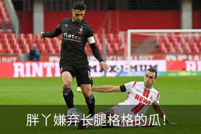 胖丫嫌弃长腿格格的瓜！