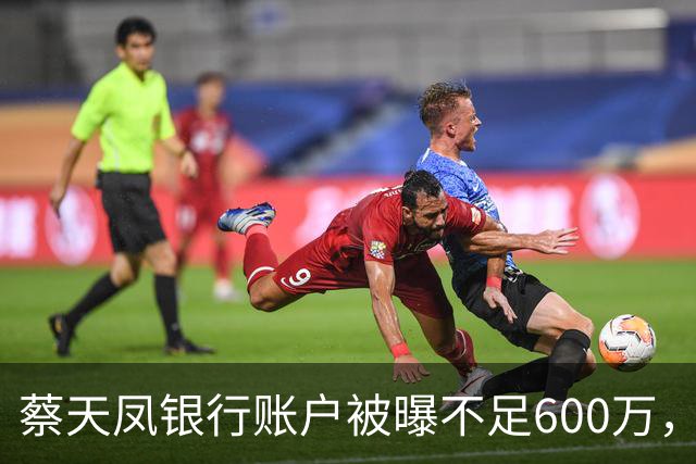 蔡天凤银行账户被曝不足600万，房产已抵押，蔡母称亲家给了三亿