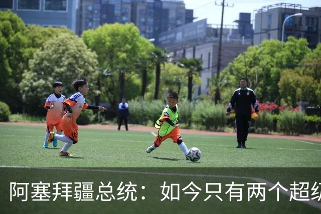 阿塞拜疆总统：如今只有两个超级大国，任何国家都不配跟中美并列