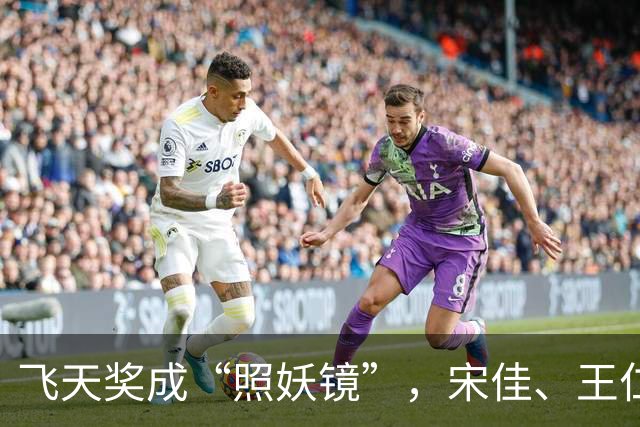 飞天奖成“照妖镜”，宋佳、王仁君获奖后，破防人算是照明白了